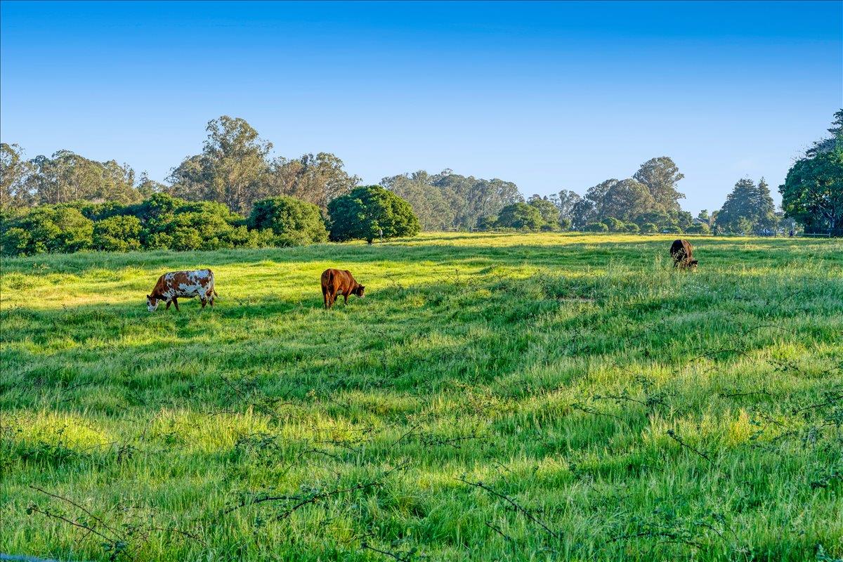 Detail Gallery Image 53 of 56 For 1190 7th Ave #3,  Santa Cruz,  CA 95062 - 3 Beds | 2 Baths