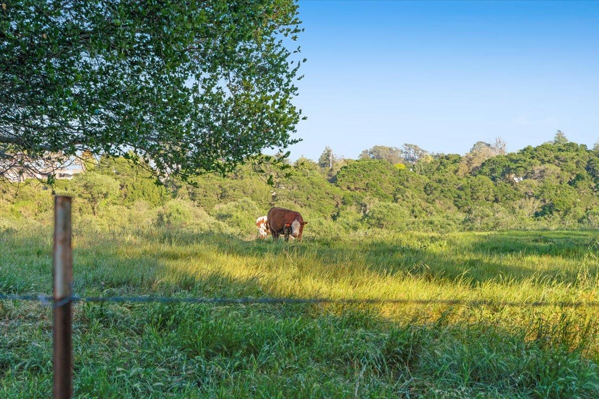 Detail Gallery Image 54 of 56 For 1190 7th Ave #3,  Santa Cruz,  CA 95062 - 3 Beds | 2 Baths