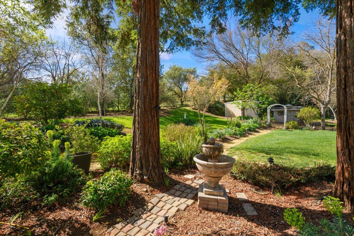 Detail Gallery Image 50 of 78 For 16615 De Witt Ave, Morgan Hill,  CA 95037 - 5 Beds | 3 Baths