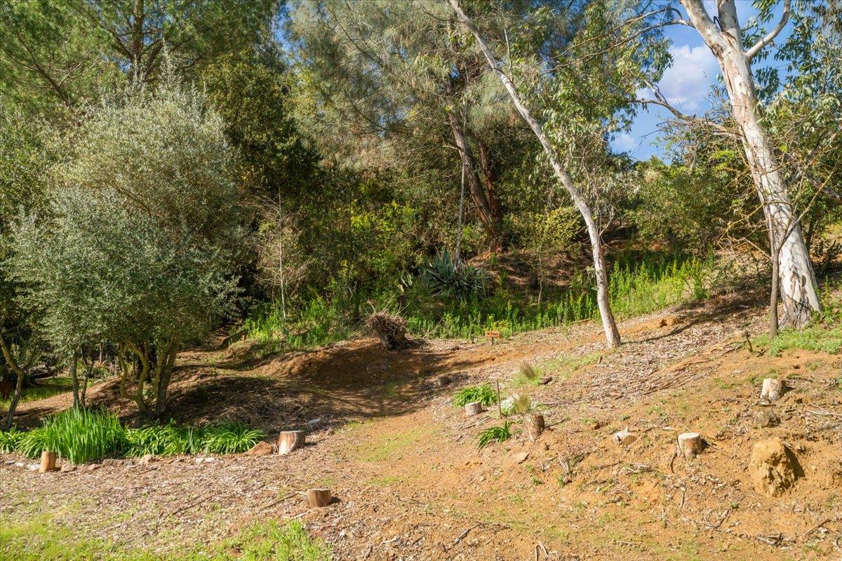 Detail Gallery Image 57 of 78 For 16615 De Witt Ave, Morgan Hill,  CA 95037 - 5 Beds | 3 Baths