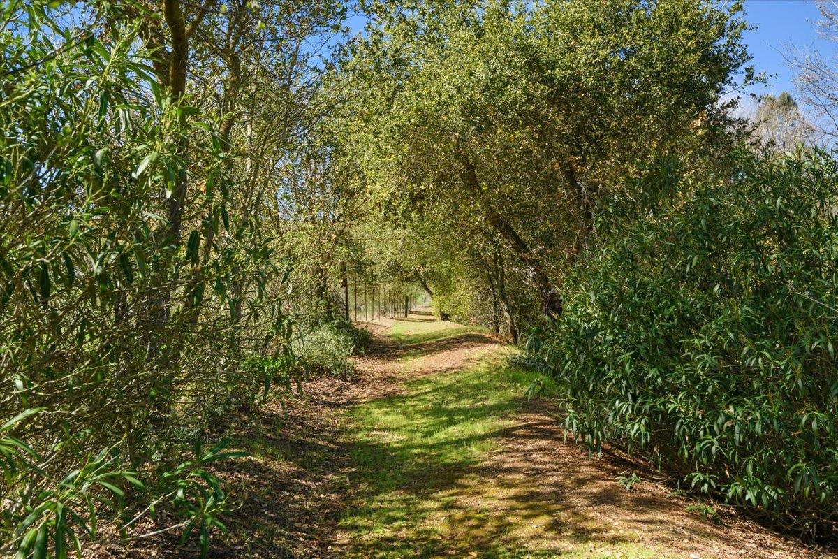 Detail Gallery Image 63 of 78 For 16615 De Witt Ave, Morgan Hill,  CA 95037 - 5 Beds | 3 Baths