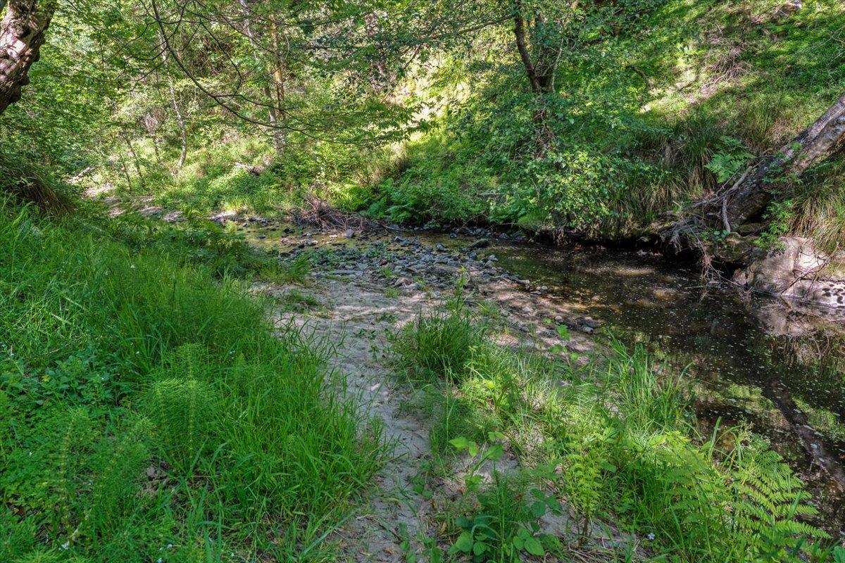 Detail Gallery Image 72 of 89 For 230 Isbel Dr, Santa Cruz,  CA 95060 - 4 Beds | 3/1 Baths