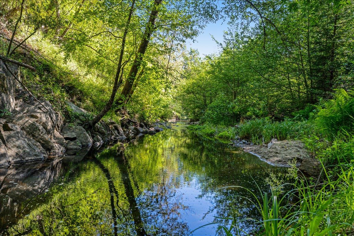 Detail Gallery Image 73 of 89 For 230 Isbel Dr, Santa Cruz,  CA 95060 - 4 Beds | 3/1 Baths