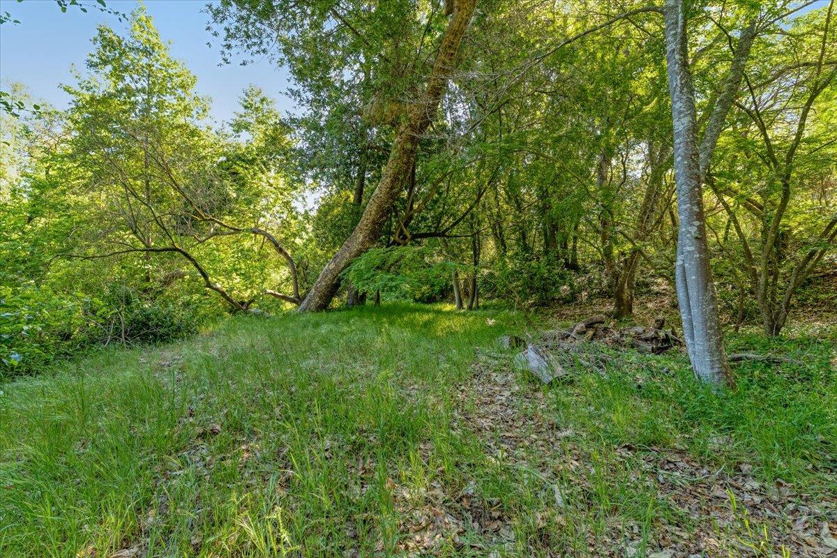 Detail Gallery Image 75 of 89 For 230 Isbel Dr, Santa Cruz,  CA 95060 - 4 Beds | 3/1 Baths