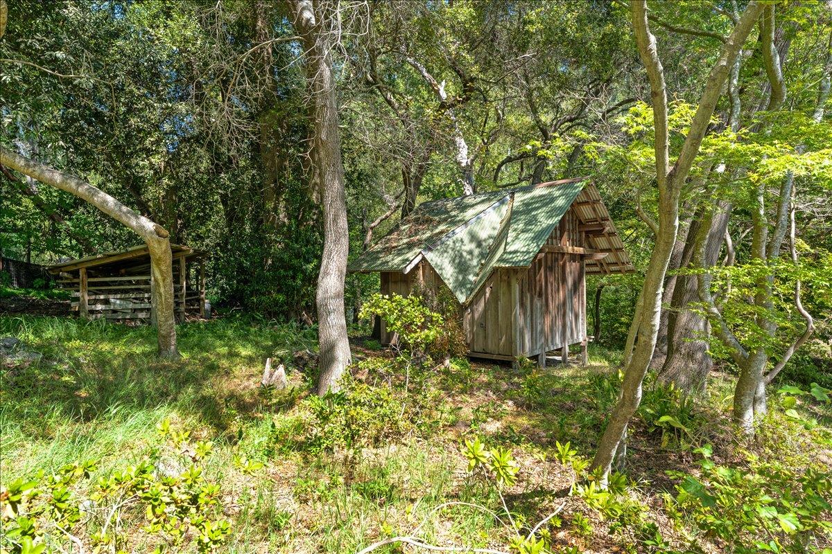 Detail Gallery Image 80 of 89 For 230 Isbel Dr, Santa Cruz,  CA 95060 - 4 Beds | 3/1 Baths
