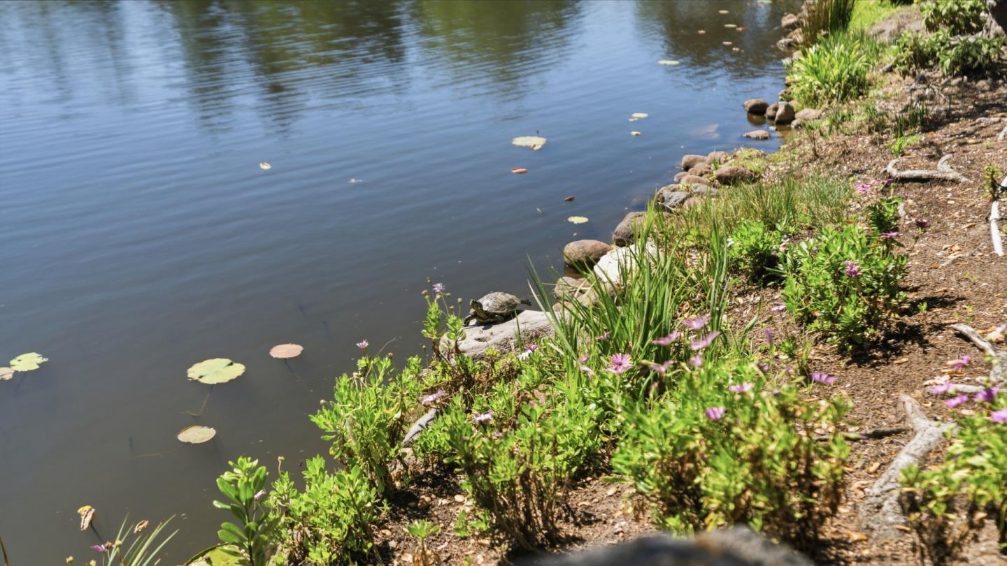 Detail Gallery Image 51 of 61 For 552 Bean Creek Rd #30,  Scotts Valley,  CA 95066 - 2 Beds | 2 Baths