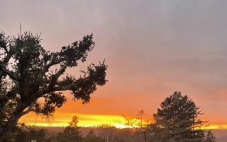 Detail Gallery Image 58 of 61 For 552 Bean Creek Rd #30,  Scotts Valley,  CA 95066 - 2 Beds | 2 Baths