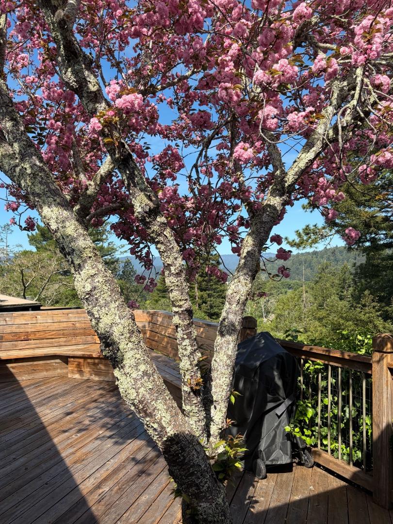 Detail Gallery Image 60 of 61 For 552 Bean Creek Rd #30,  Scotts Valley,  CA 95066 - 2 Beds | 2 Baths