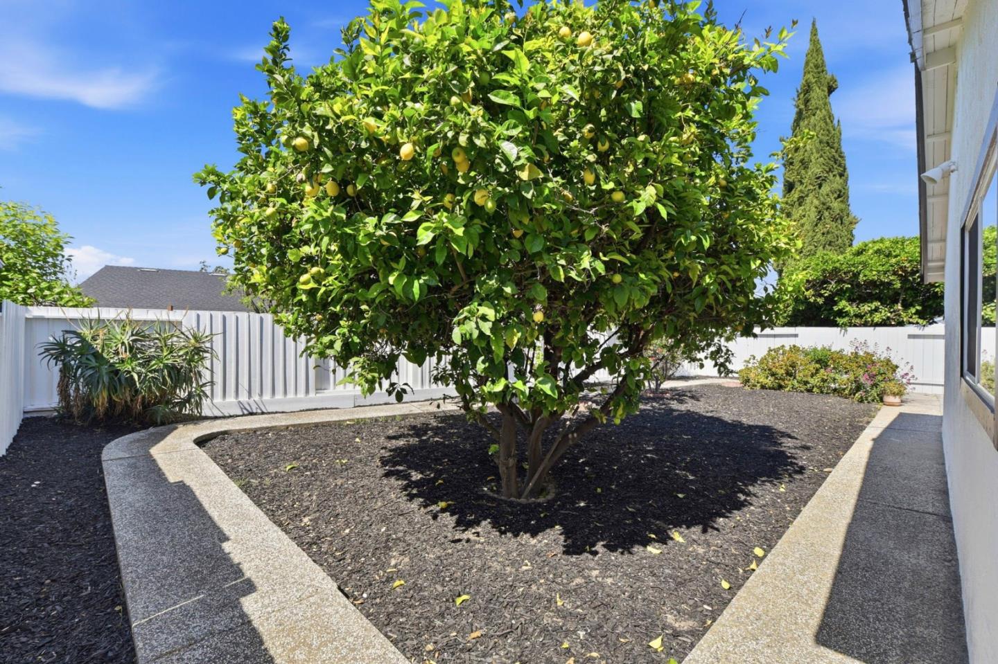 Detail Gallery Image 31 of 32 For 723 Anvil Ct, San Jose,  CA 95133 - 4 Beds | 2 Baths