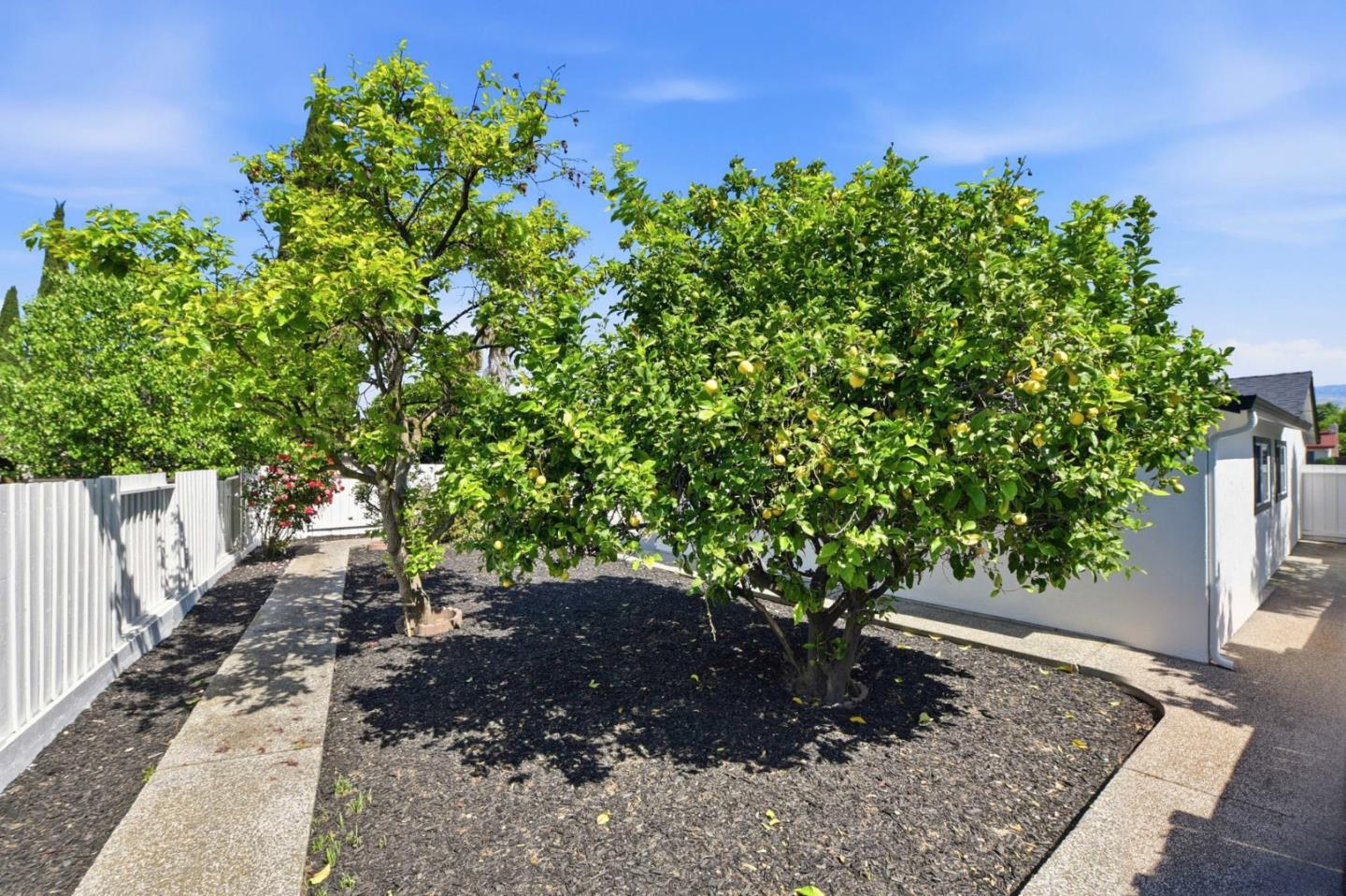 Detail Gallery Image 32 of 32 For 723 Anvil Ct, San Jose,  CA 95133 - 4 Beds | 2 Baths