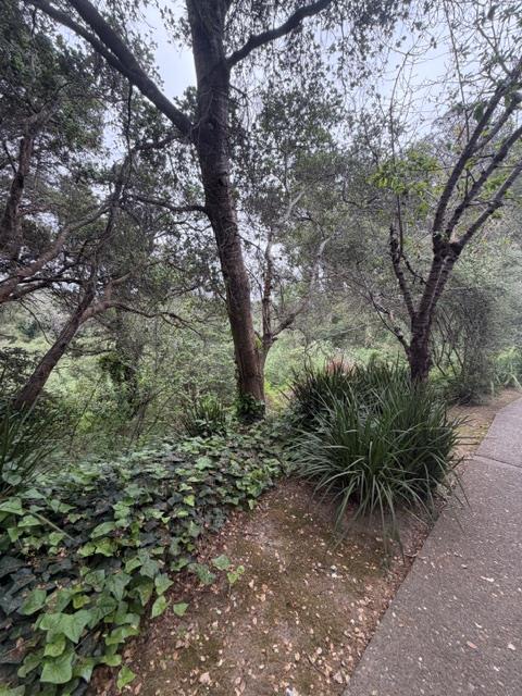 Detail Gallery Image 20 of 22 For 755 14th Ave #411,  Santa Cruz,  CA 95062 - 1 Beds | 1 Baths