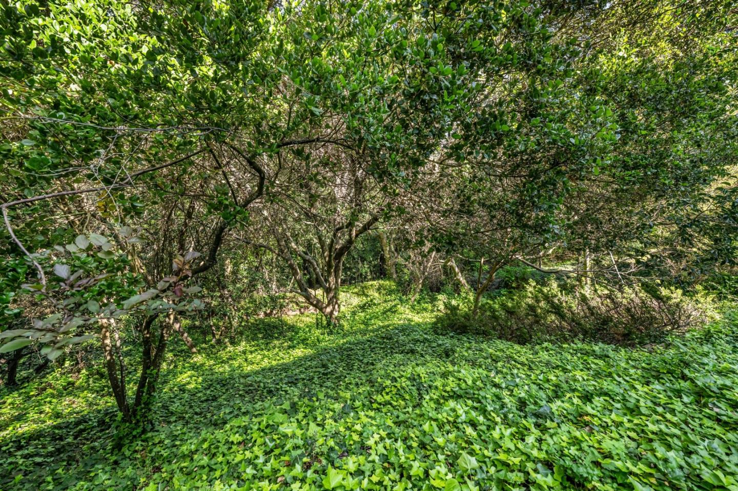 Detail Gallery Image 40 of 41 For 1255 Tuolumne Rd, Millbrae,  CA 94030 - 3 Beds | 2/1 Baths