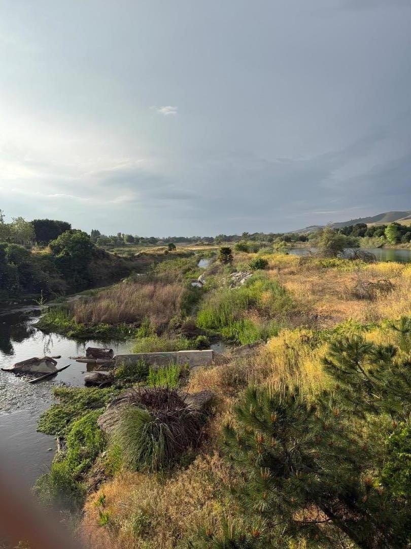 Detail Gallery Image 37 of 40 For 7389 Forsum Rd, San Jose,  CA 95138 - 3 Beds | 2/1 Baths