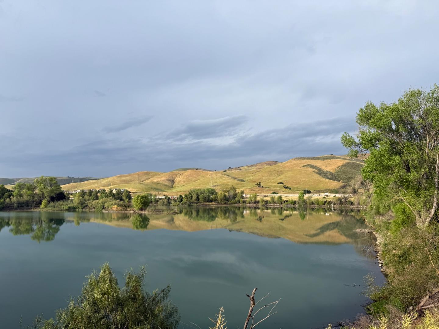 Detail Gallery Image 39 of 40 For 7389 Forsum Rd, San Jose,  CA 95138 - 3 Beds | 2/1 Baths