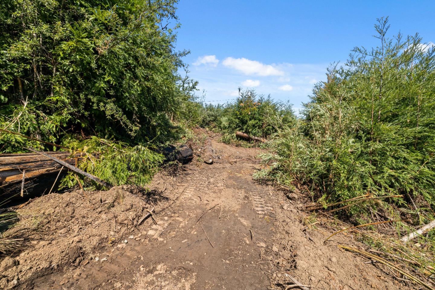 Detail Gallery Image 16 of 21 For 122 Cypress Tree Ln, Boulder Creek,  CA 95006 - – Beds | – Baths