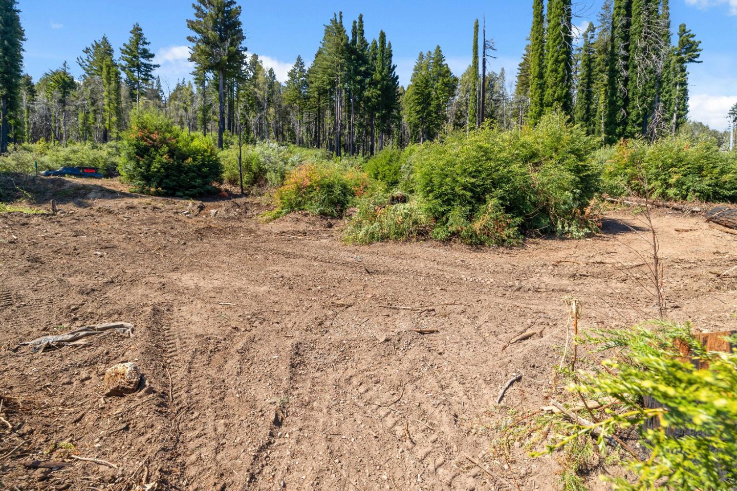 Detail Gallery Image 8 of 21 For 122 Cypress Tree Ln, Boulder Creek,  CA 95006 - – Beds | – Baths