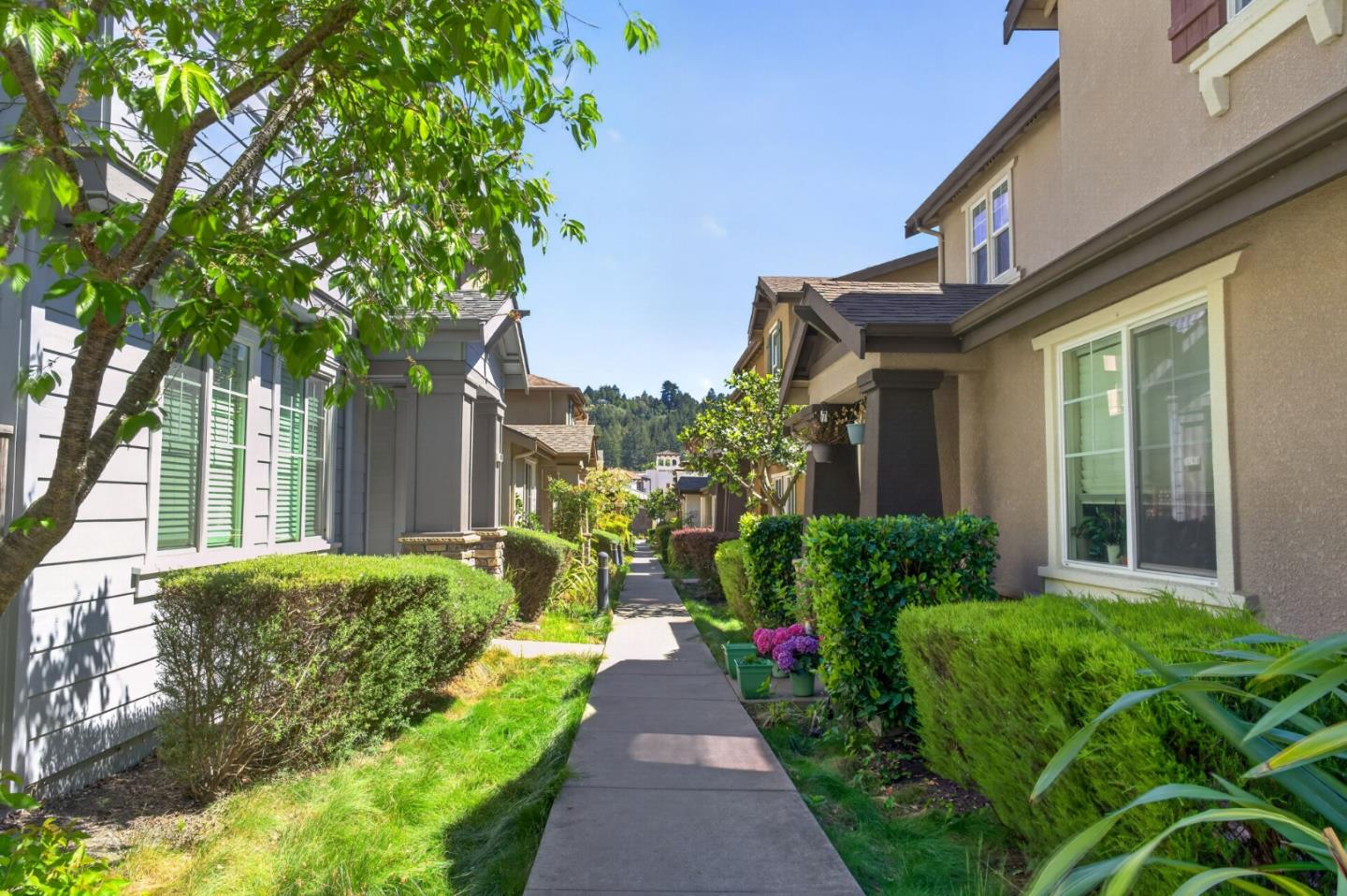 Detail Gallery Image 35 of 44 For 308 Harvest Ln, Scotts Valley,  CA 95066 - 3 Beds | 2/1 Baths