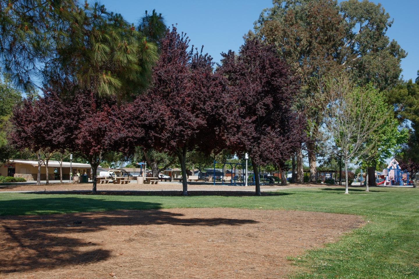 Detail Gallery Image 36 of 38 For 1177 Redrock Ct, Sunnyvale,  CA 94089 - 3 Beds | 2 Baths