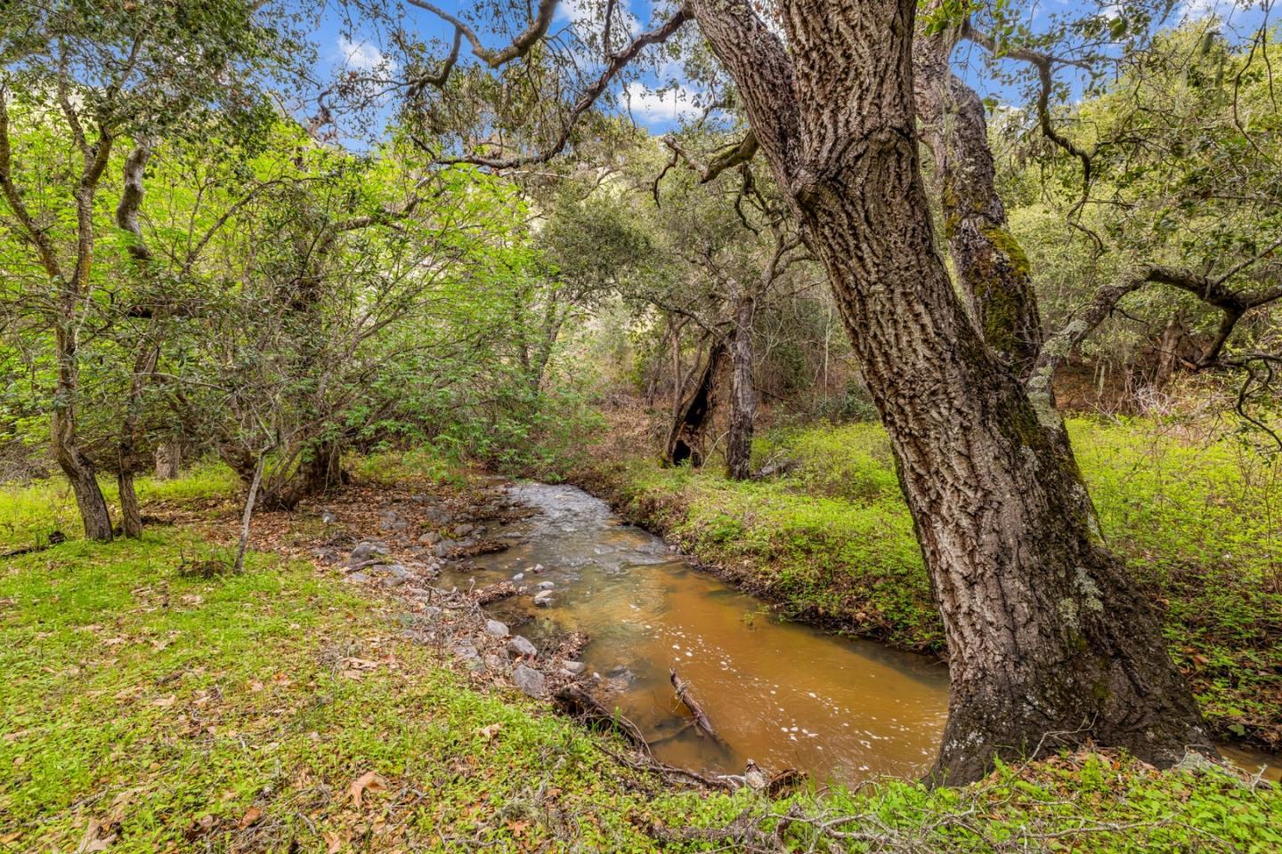 Detail Gallery Image 19 of 71 For 28750 Underwood Rd, Salinas,  CA 93908 - – Beds | – Baths