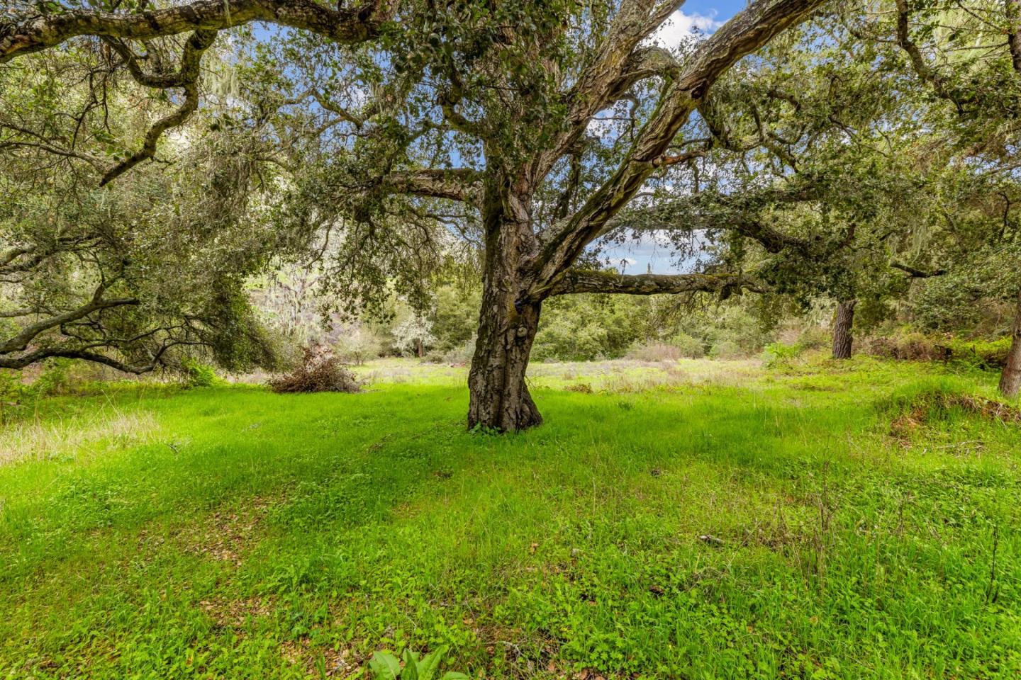 Detail Gallery Image 21 of 71 For 28750 Underwood Rd, Salinas,  CA 93908 - – Beds | – Baths