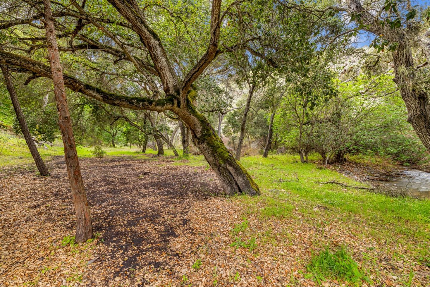 Detail Gallery Image 27 of 71 For 28750 Underwood Rd, Salinas,  CA 93908 - – Beds | – Baths