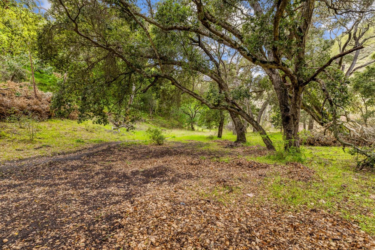 Detail Gallery Image 28 of 71 For 28750 Underwood Rd, Salinas,  CA 93908 - – Beds | – Baths