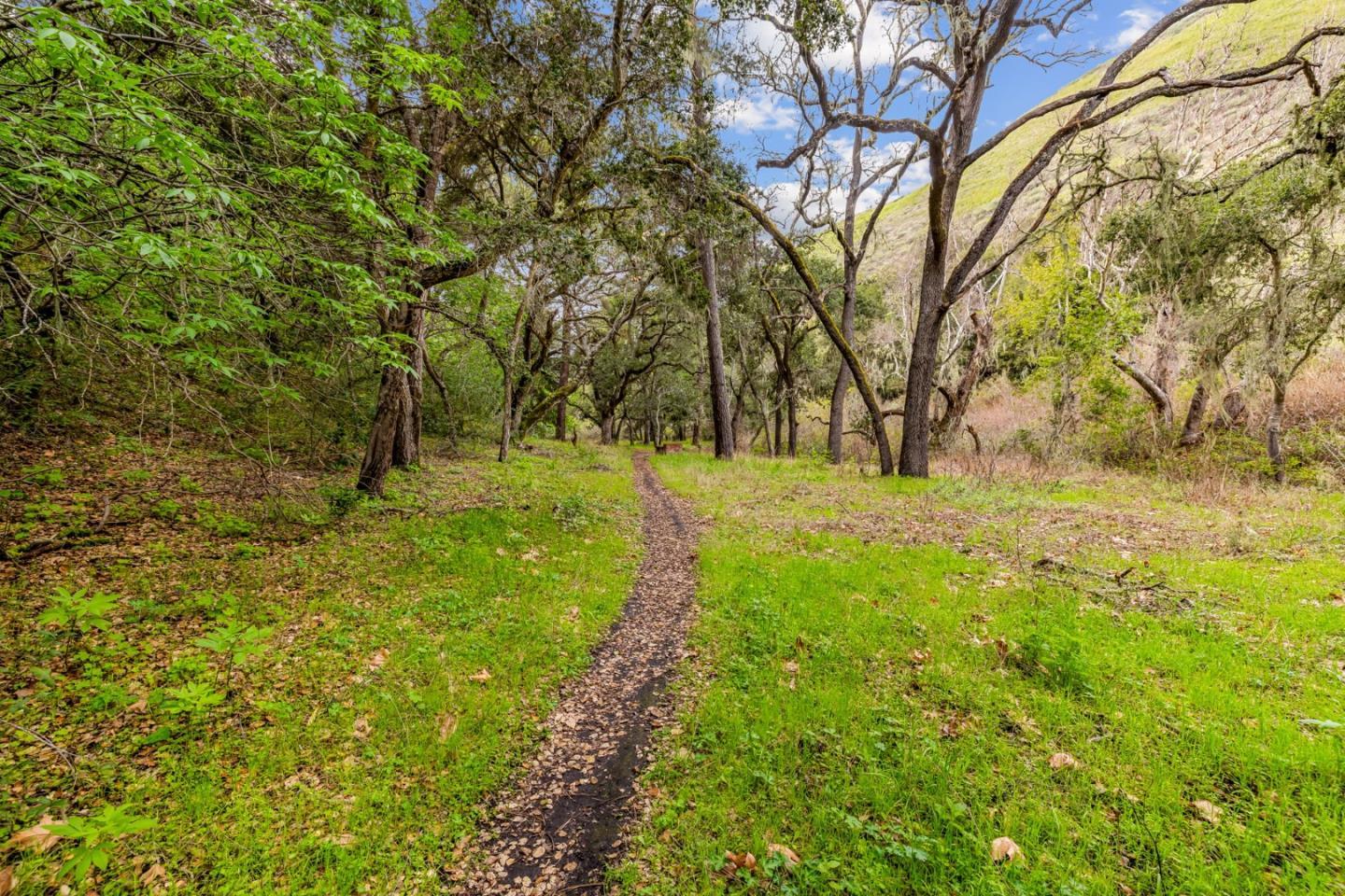 Detail Gallery Image 29 of 71 For 28750 Underwood Rd, Salinas,  CA 93908 - – Beds | – Baths