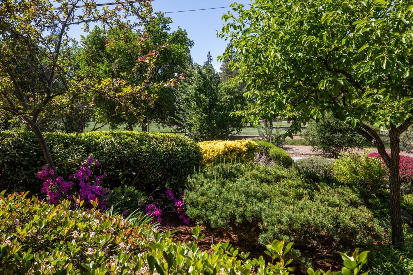 Detail Gallery Image 5 of 37 For 800 Loyola Dr, Los Altos,  CA 94024 - – Beds | – Baths