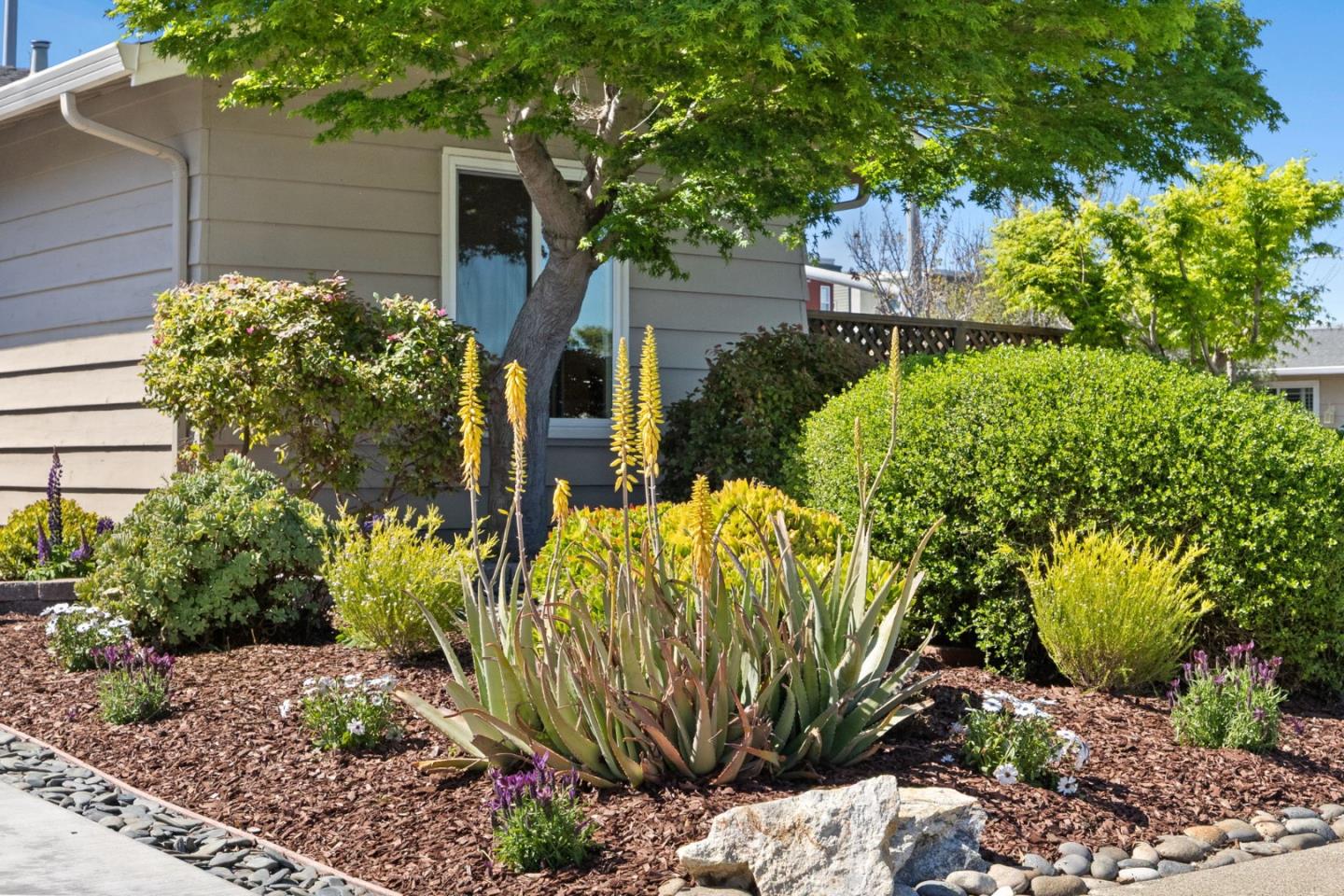 Detail Gallery Image 5 of 78 For 600 Comet Dr, Foster City,  CA 94404 - 4 Beds | 2 Baths