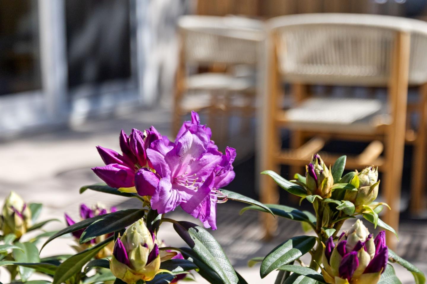 Detail Gallery Image 50 of 78 For 600 Comet Dr, Foster City,  CA 94404 - 4 Beds | 2 Baths