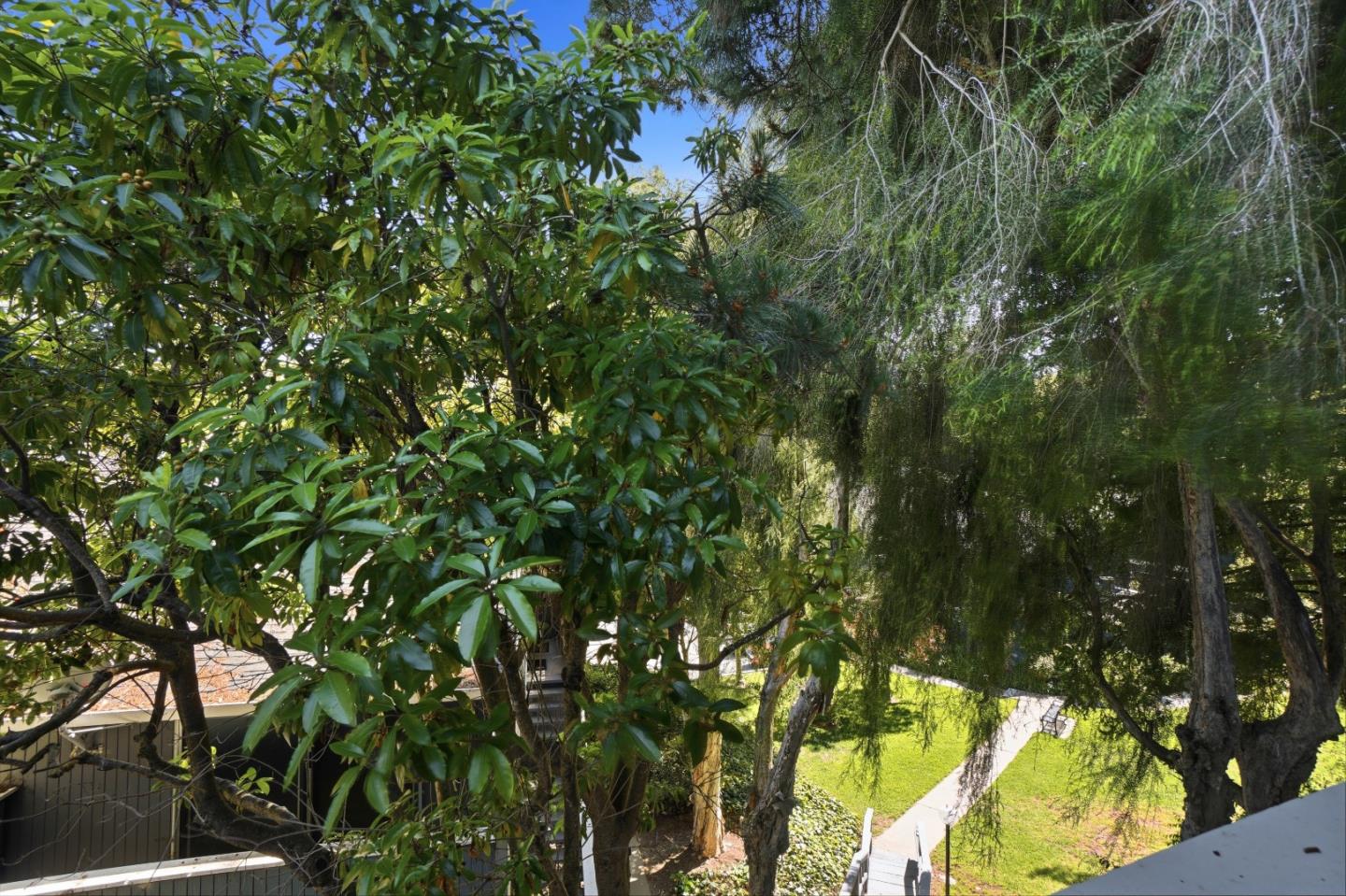 Detail Gallery Image 23 of 27 For 143 Piccadilly Pl #F,  San Bruno,  CA 94066 - 1 Beds | 1 Baths