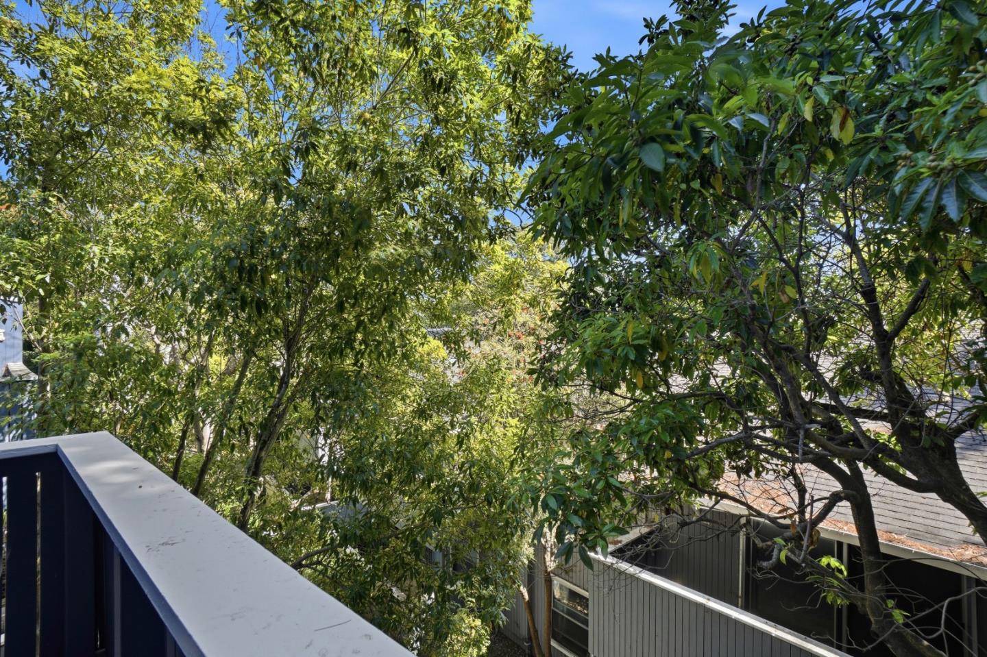 Detail Gallery Image 24 of 27 For 143 Piccadilly Pl #F,  San Bruno,  CA 94066 - 1 Beds | 1 Baths