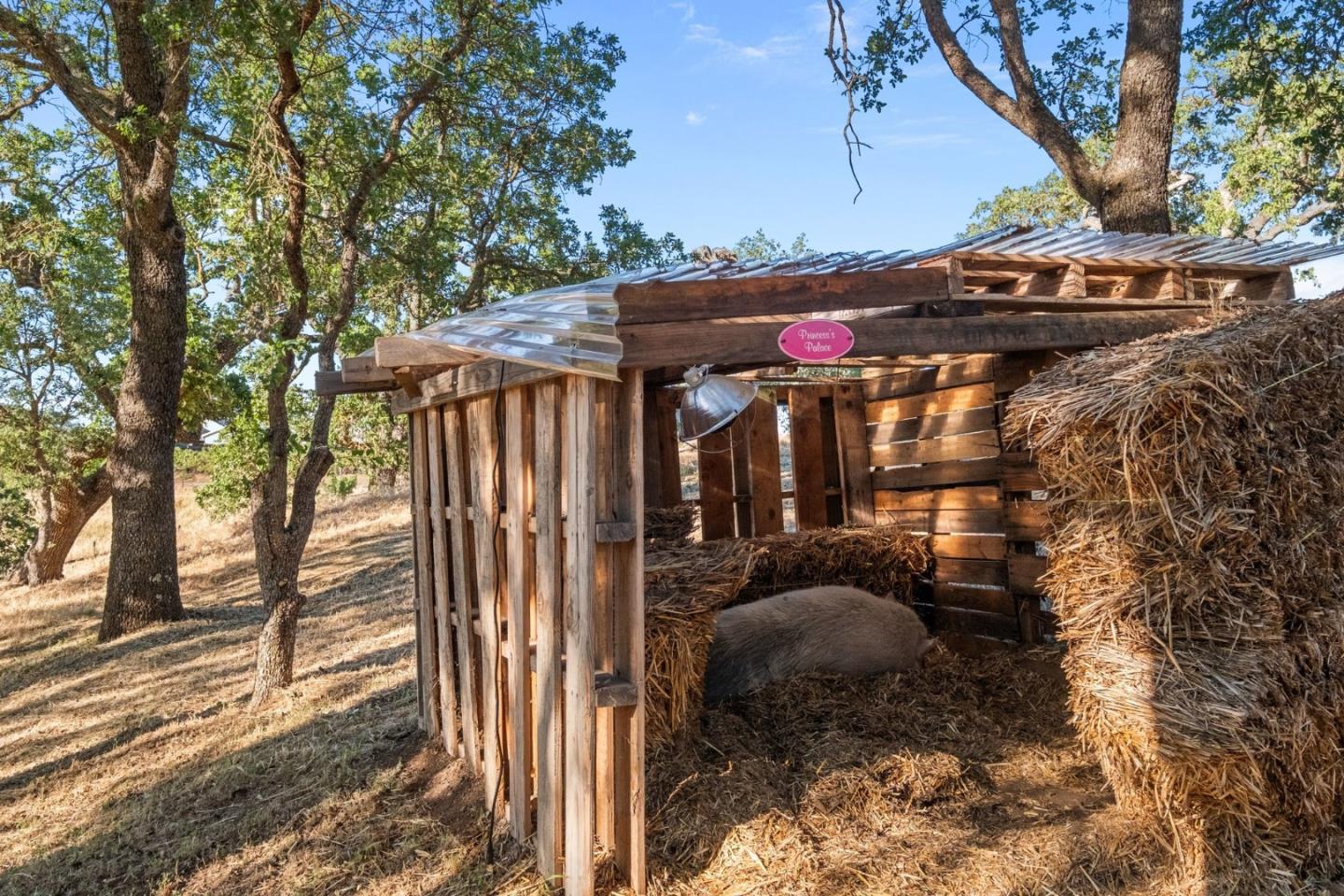 Detail Gallery Image 86 of 103 For 15208 Sycamore Dr, Morgan Hill,  CA 95037 - 4 Beds | 2/1 Baths