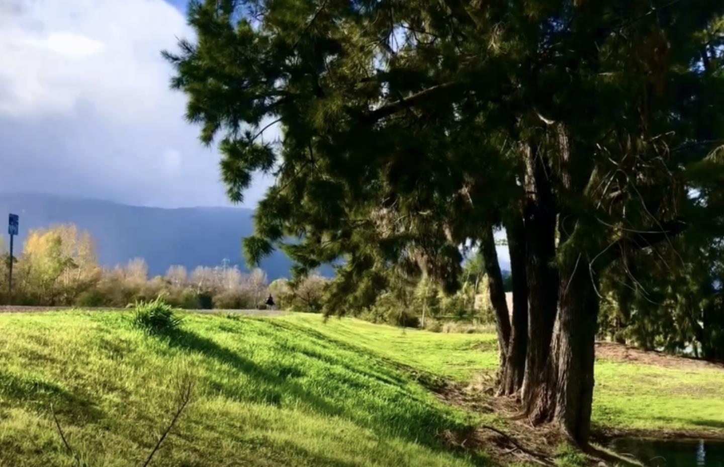 Detail Gallery Image 17 of 19 For 5657 Rotterdam Ln, San Jose,  CA 95118 - 4 Beds | 2 Baths