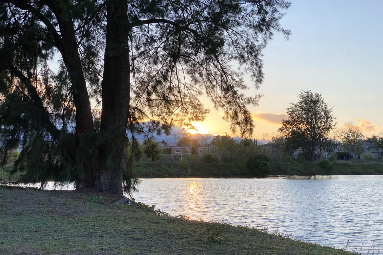 Detail Gallery Image 18 of 19 For 5657 Rotterdam Ln, San Jose,  CA 95118 - 4 Beds | 2 Baths