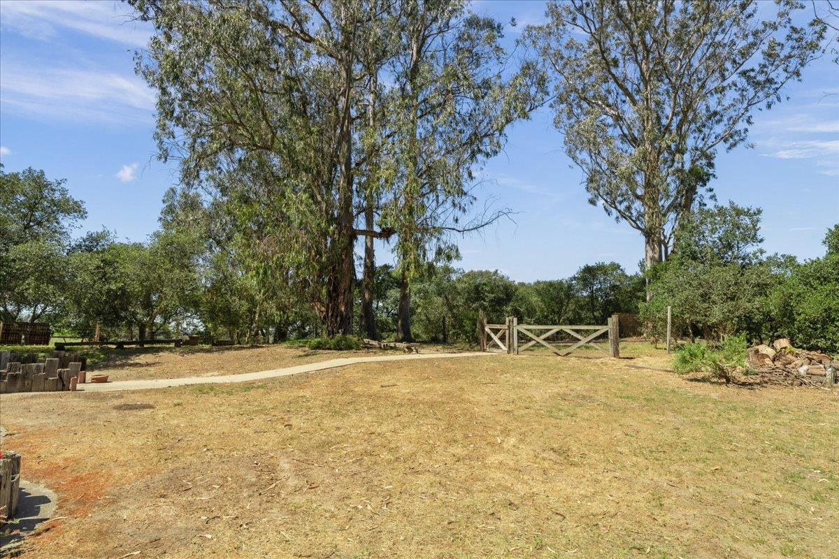 Detail Gallery Image 38 of 42 For 17089 Mcguffie Rd, Salinas,  CA 93907 - 3 Beds | 2/1 Baths