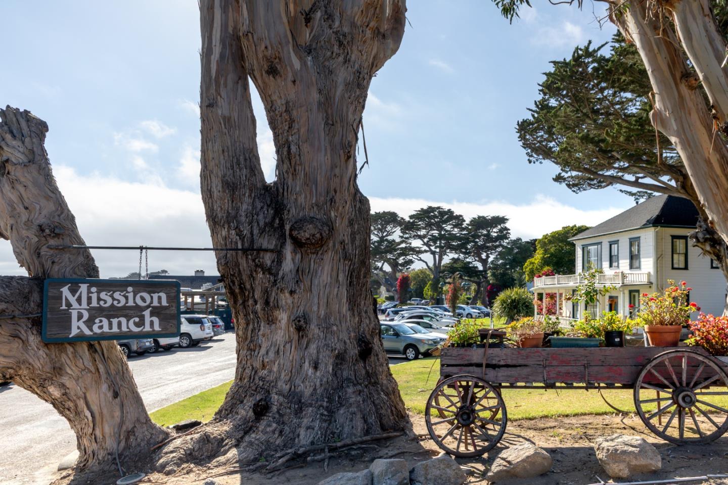 Detail Gallery Image 41 of 46 For 3017 Lasuen Dr, Carmel,  CA 93923 - 3 Beds | 2/1 Baths