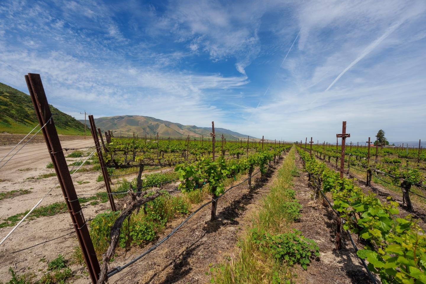 Detail Gallery Image 14 of 17 For 38156 Elm Ave, Greenfield,  CA 93927 - – Beds | – Baths