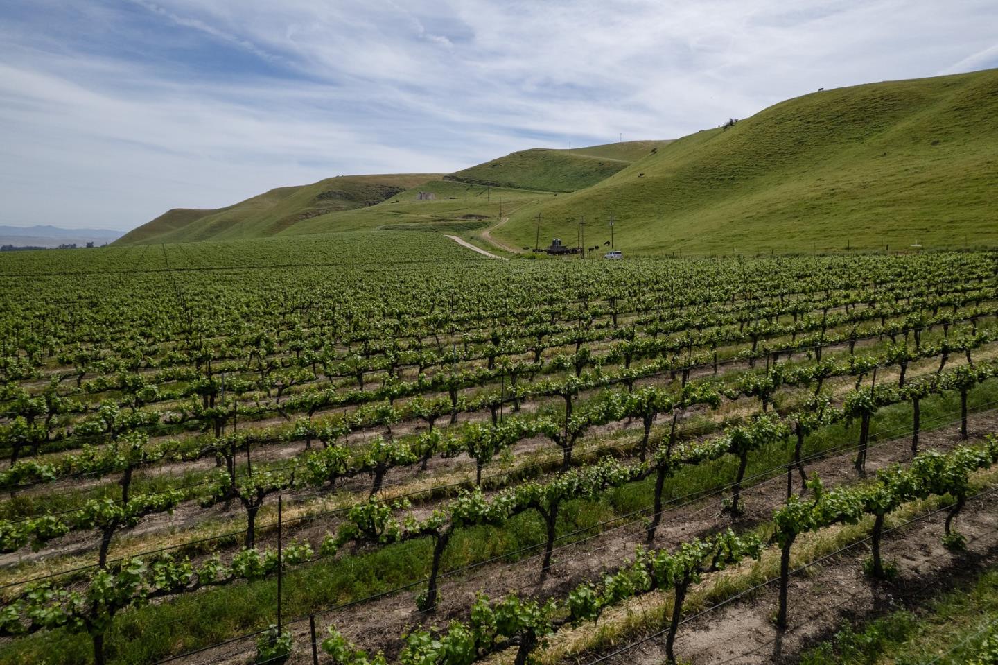 Detail Gallery Image 15 of 17 For 38156 Elm Ave, Greenfield,  CA 93927 - – Beds | – Baths