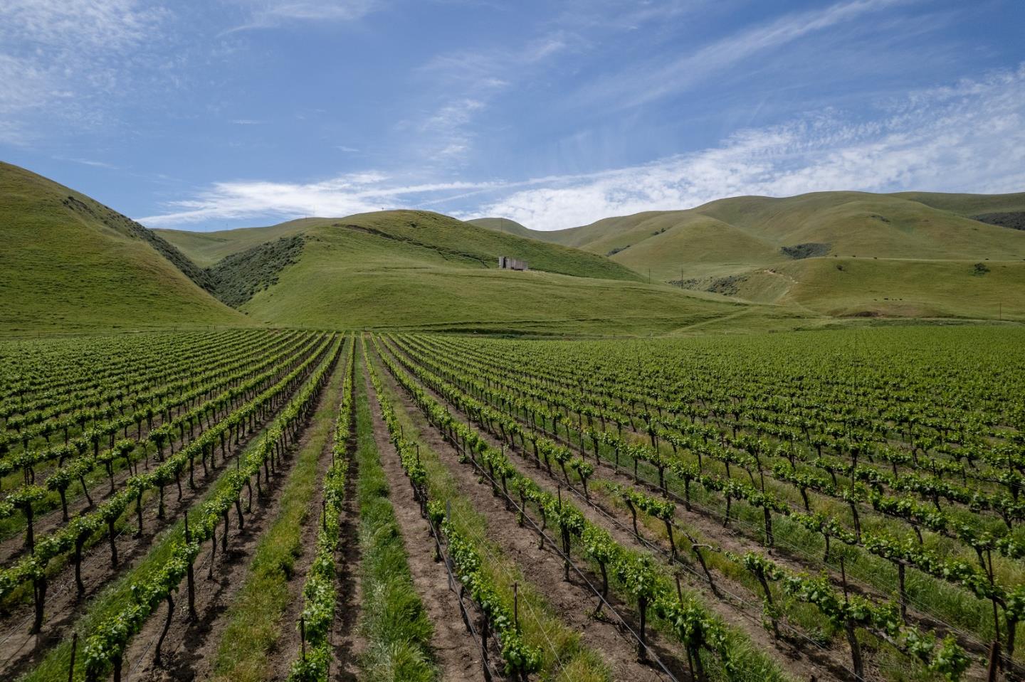 Detail Gallery Image 3 of 17 For 38156 Elm Ave, Greenfield,  CA 93927 - – Beds | – Baths