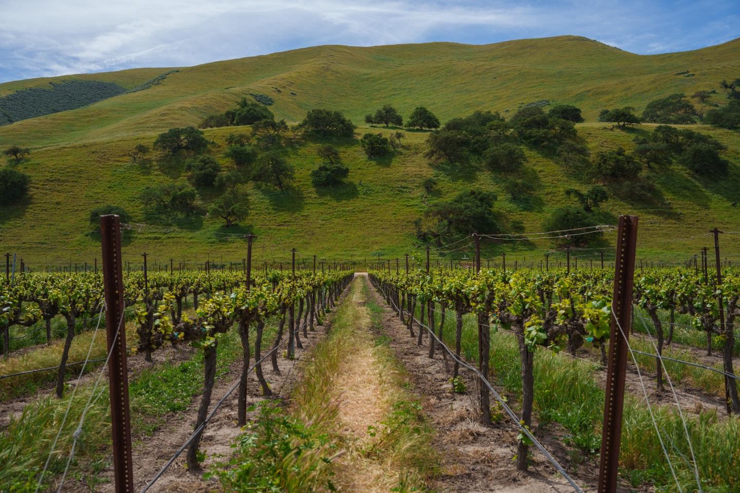 Detail Gallery Image 4 of 17 For 38156 Elm Ave, Greenfield,  CA 93927 - – Beds | – Baths