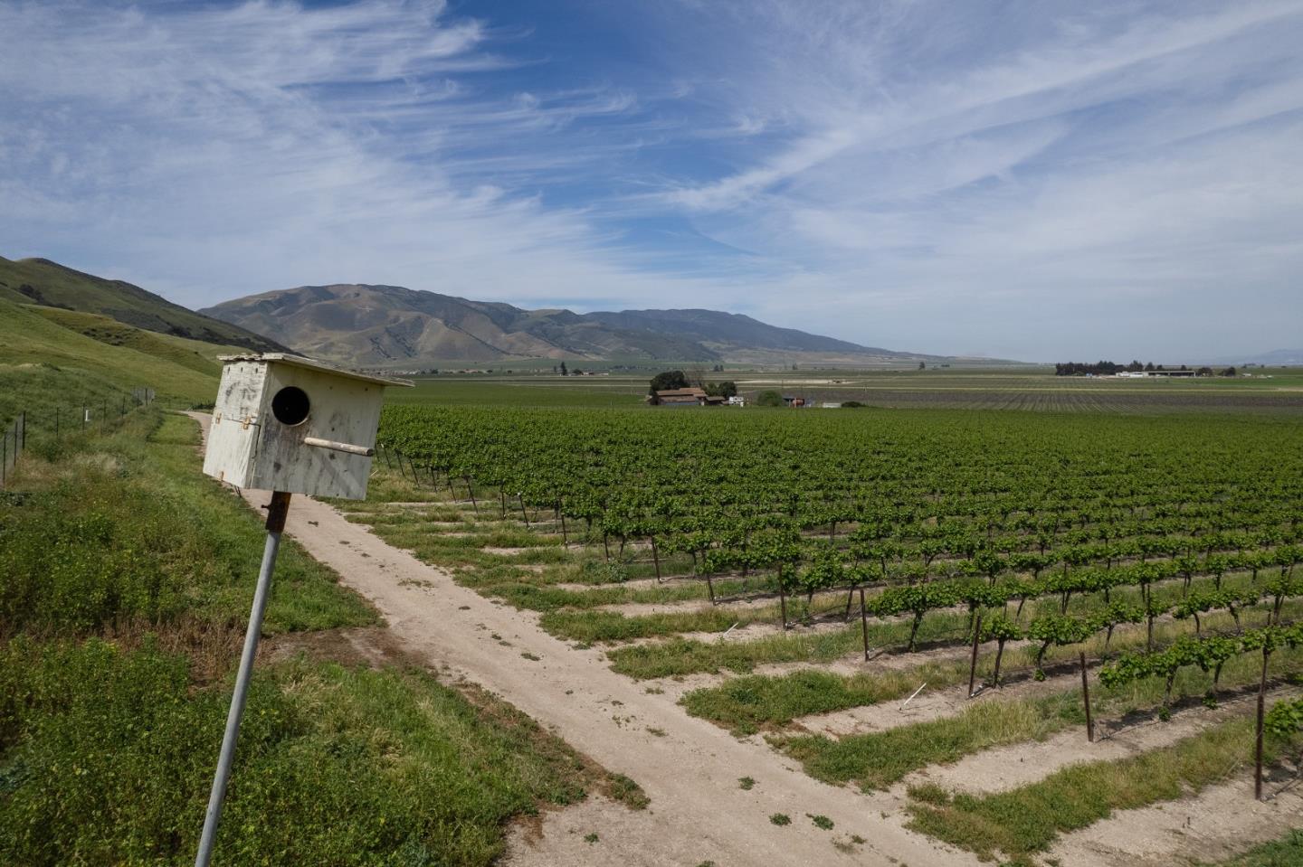 Detail Gallery Image 8 of 17 For 38156 Elm Ave, Greenfield,  CA 93927 - – Beds | – Baths