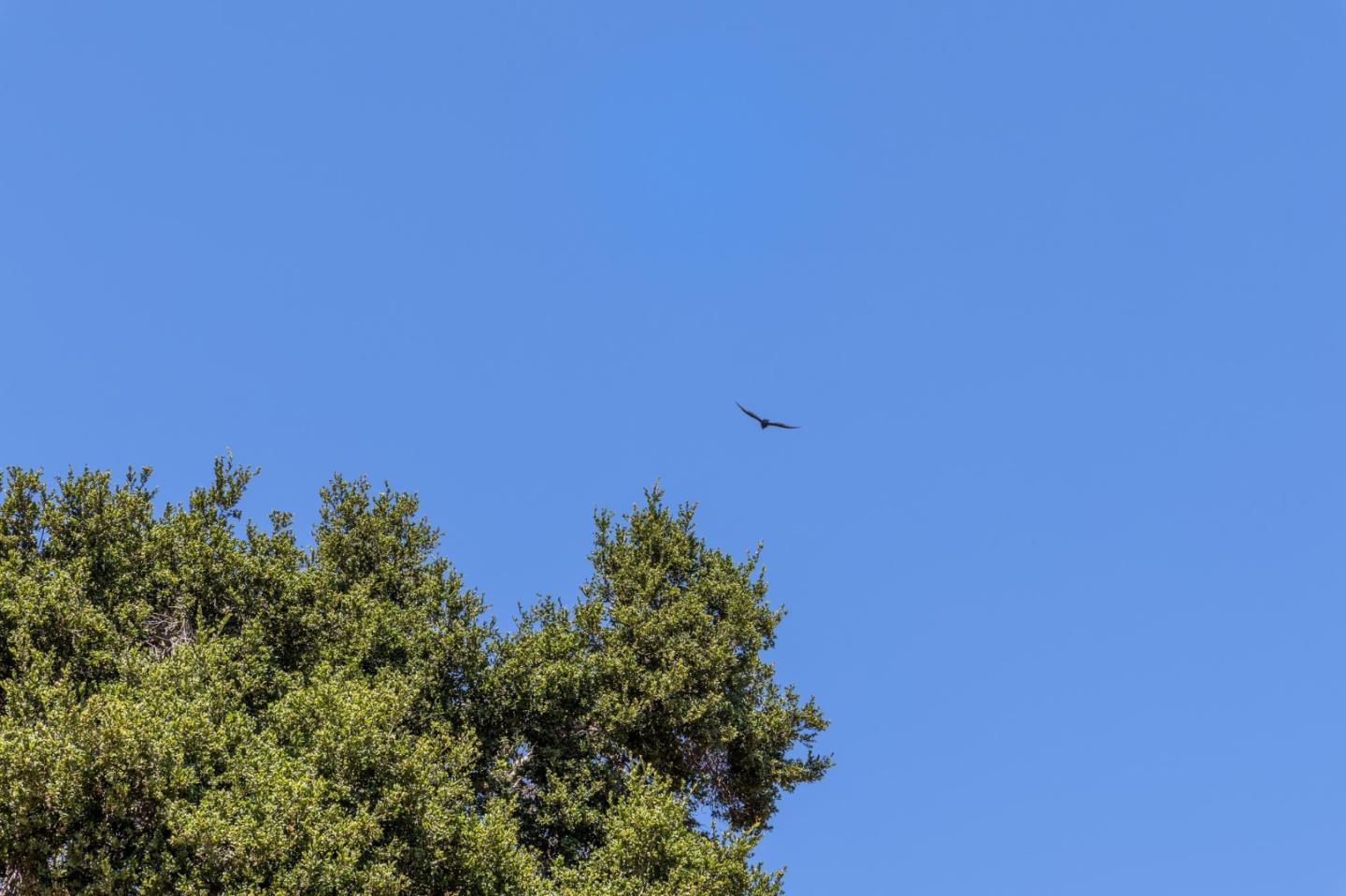 Detail Gallery Image 10 of 10 For 941 High Rd, Woodside,  CA 94062 - – Beds | – Baths