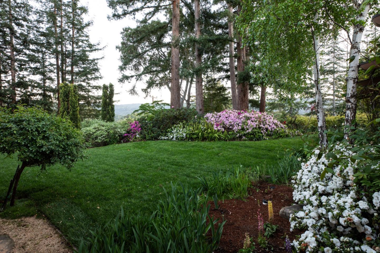 Detail Gallery Image 4 of 45 For 56 Hillbrook Dr, Portola Valley,  CA 94028 - 3 Beds | 2/1 Baths