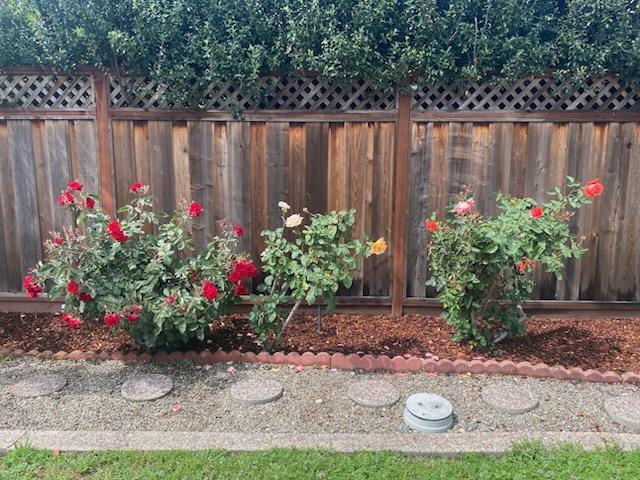 Detail Gallery Image 38 of 45 For 1408 Birch Ave, San Mateo,  CA 94402 - 2 Beds | 1 Baths