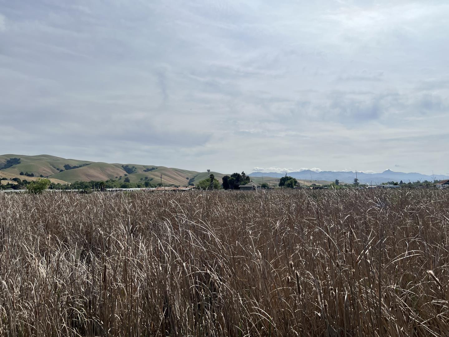 Detail Gallery Image 10 of 23 For Pacheco Pass Hwy, Hollister,  CA 95023 - – Beds | – Baths