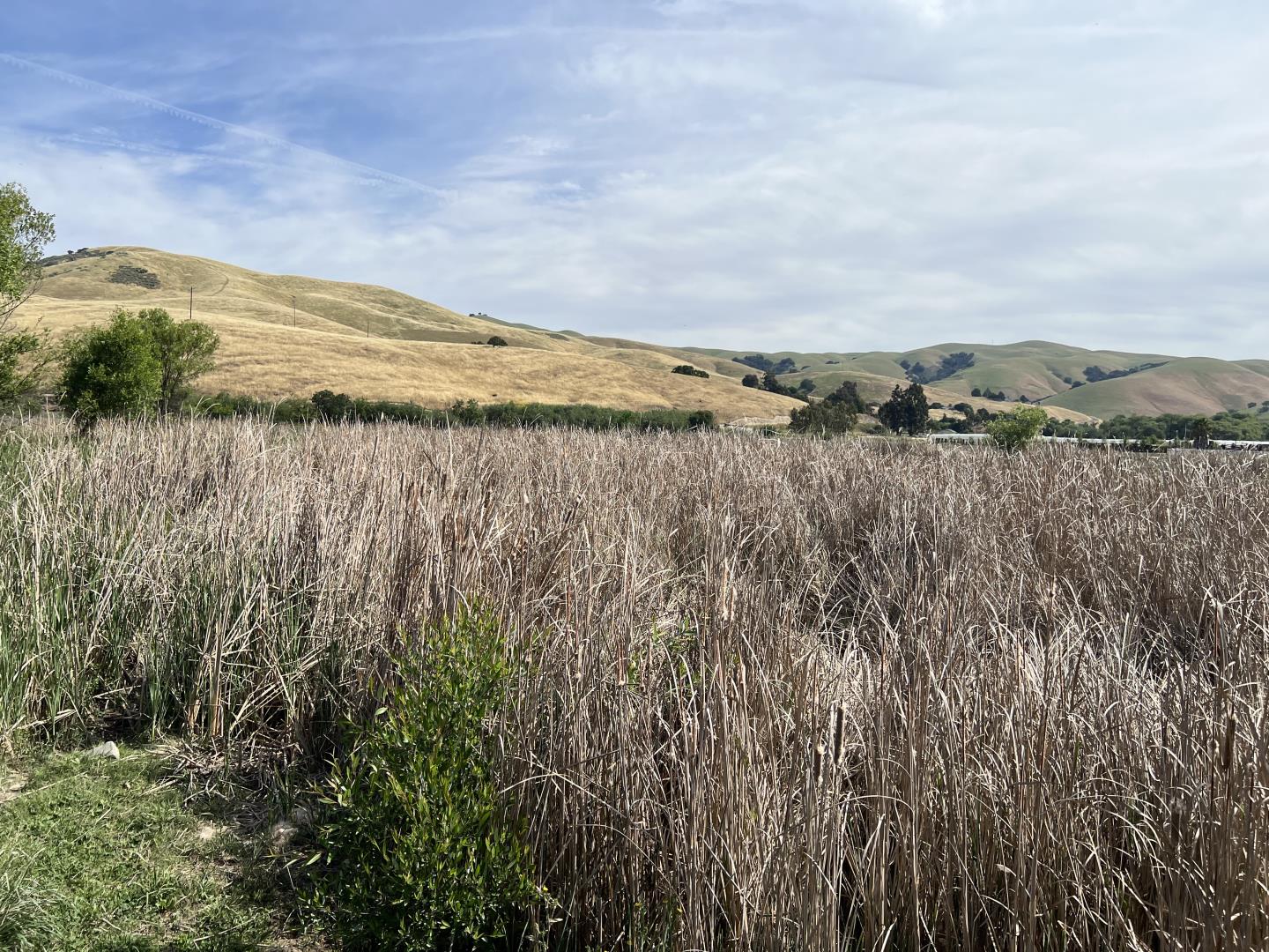 Detail Gallery Image 11 of 23 For Pacheco Pass Hwy, Hollister,  CA 95023 - – Beds | – Baths