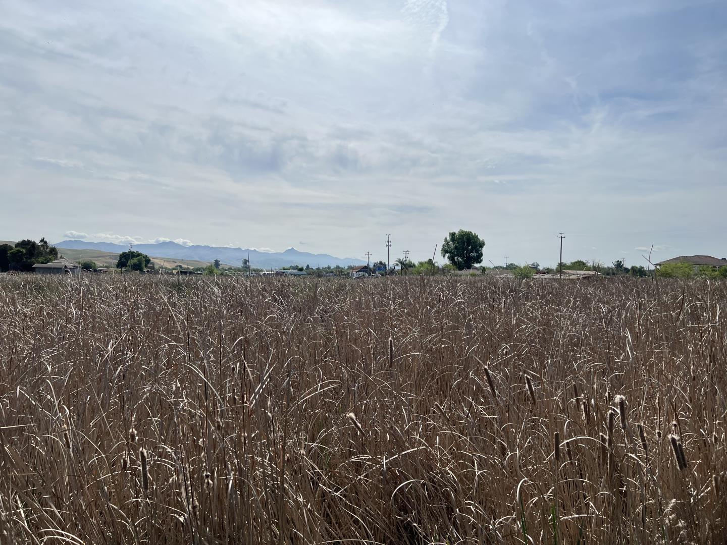 Detail Gallery Image 12 of 23 For Pacheco Pass Hwy, Hollister,  CA 95023 - – Beds | – Baths