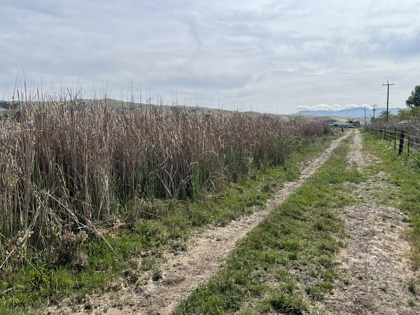 Detail Gallery Image 13 of 23 For Pacheco Pass Hwy, Hollister,  CA 95023 - – Beds | – Baths