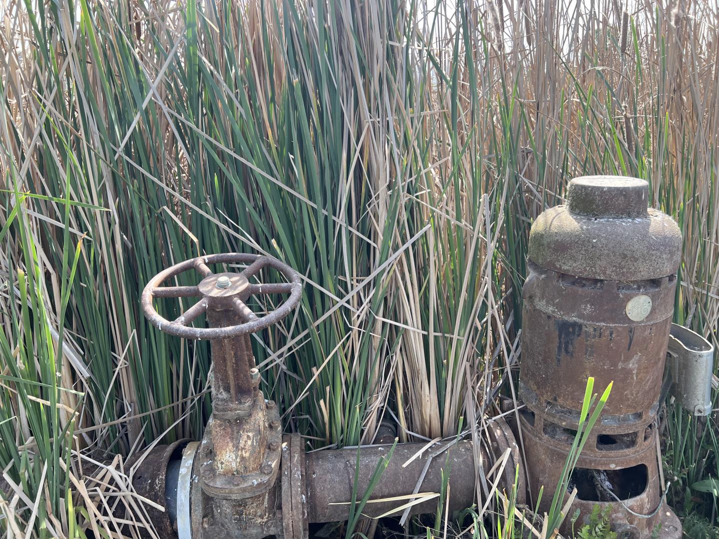 Detail Gallery Image 8 of 23 For Pacheco Pass Hwy, Hollister,  CA 95023 - – Beds | – Baths